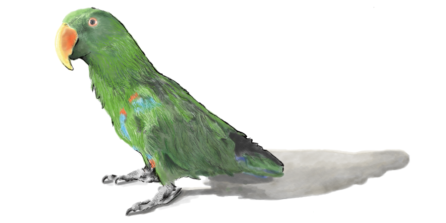 Image of second layer