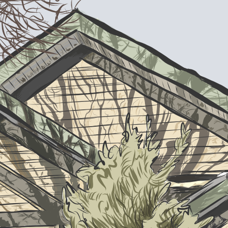 Close up of house shadows