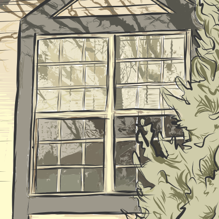 Close up of shadows on windows