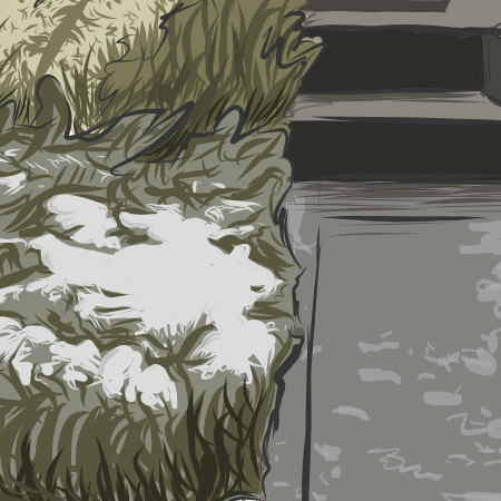 Close up of snow next to path