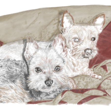 Jazz and Toby layer 2