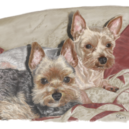 Jazz and Toby layer 3