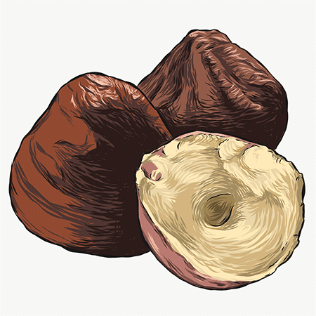 Close up image of ingredients