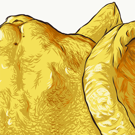 Close up image of ingredients