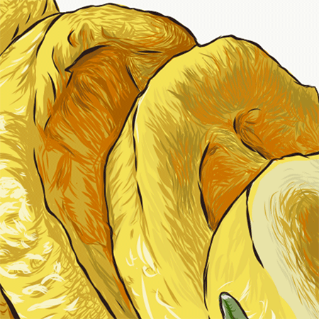 Close up image of ingredients