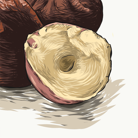 Close up image of ingredients
