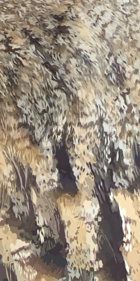 Close up image of feathers