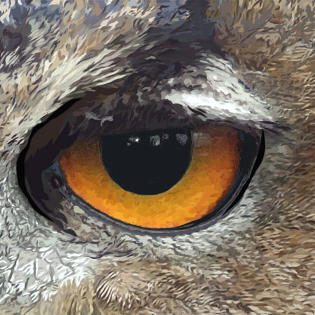Close up image of eye