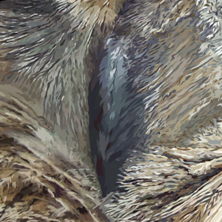 Close up image of nose