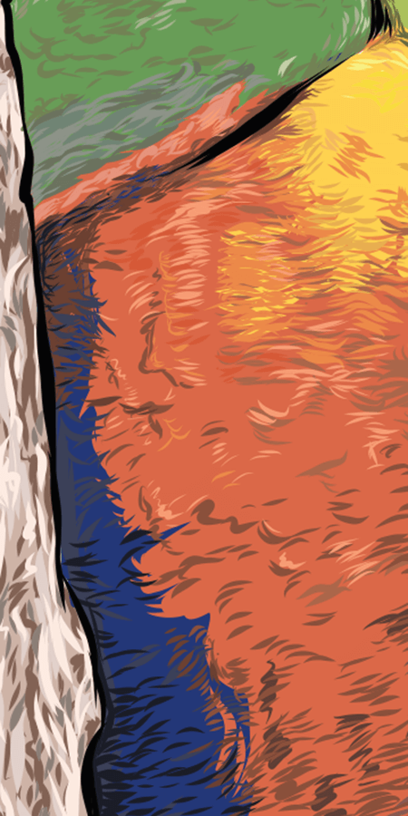 Close up image of feathers
