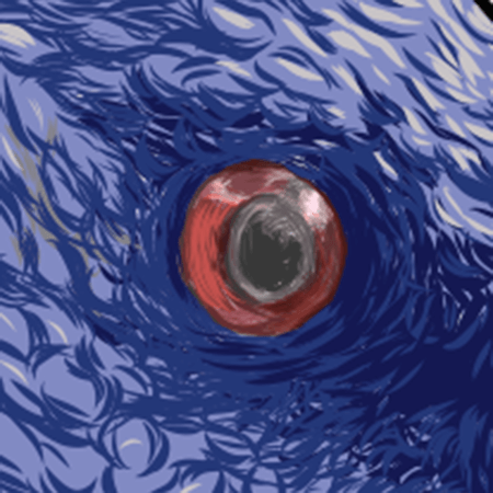 Close up image of eye