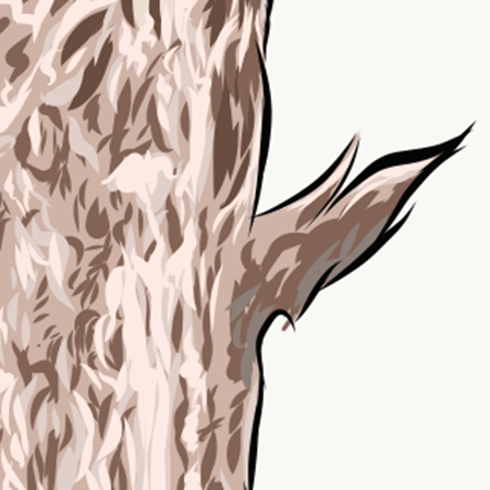 Close up image of tree