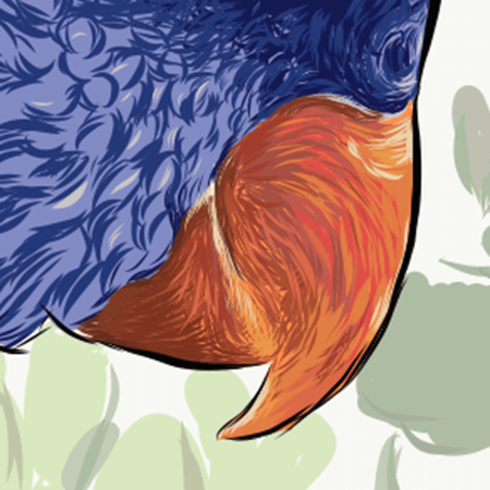 Close up image of beak