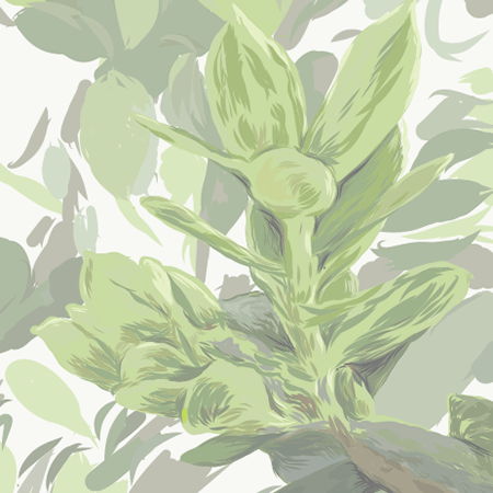 Close up image of leaves