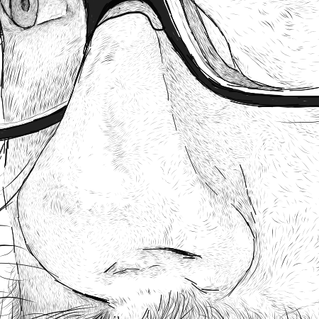 Close up image of Stephen J Cater's nose