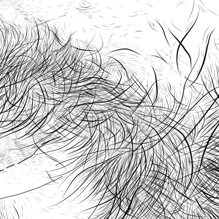 Close up image of Stephen J Cater's beard