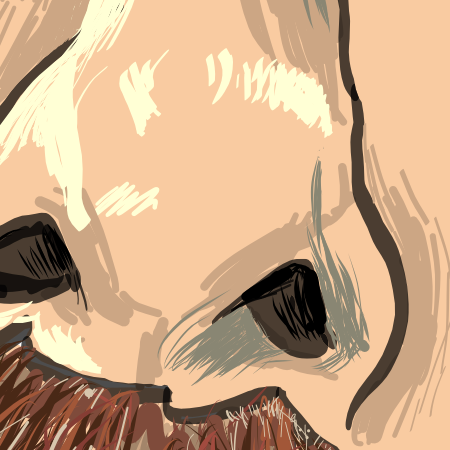 Close up image of Stephen J Cater's nose