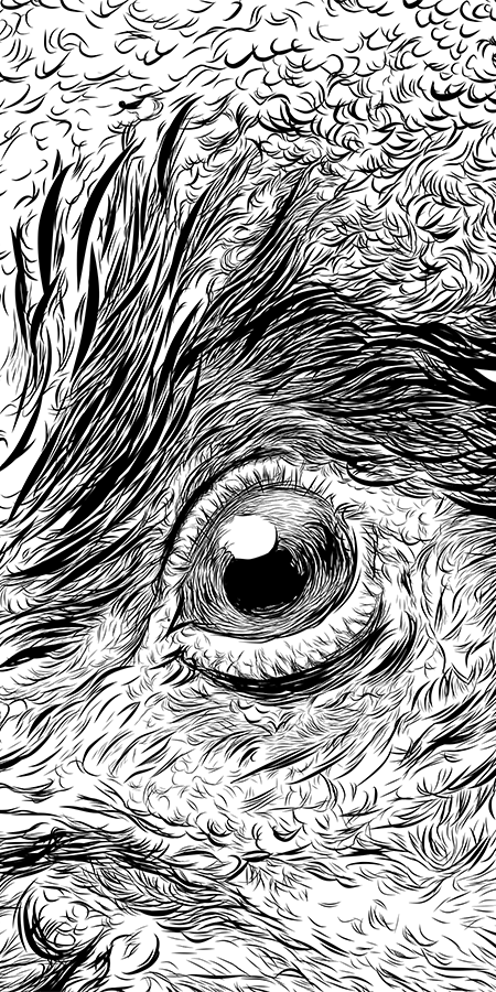Close up image of Roosterman's eye