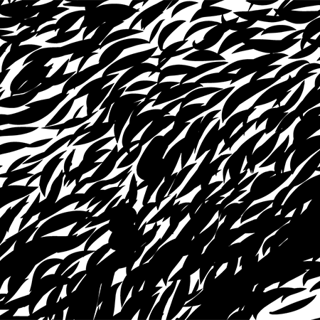 Close up image of fur