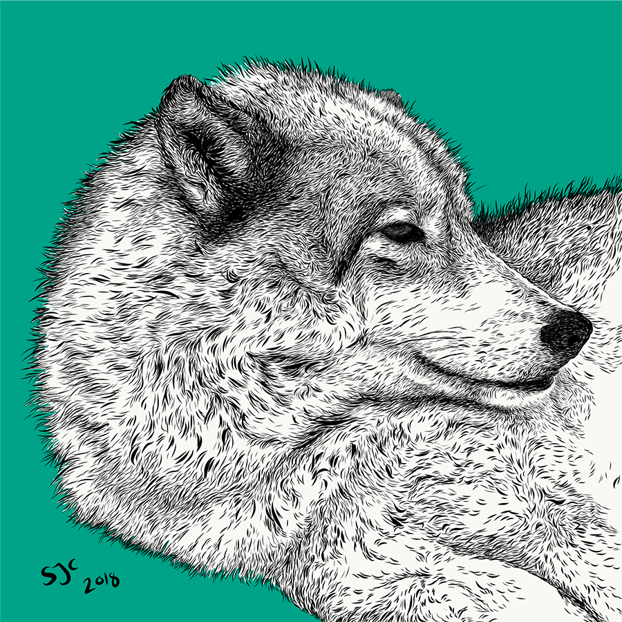 Kasha, Yamnuska Canine Illustrations - Vector illustration