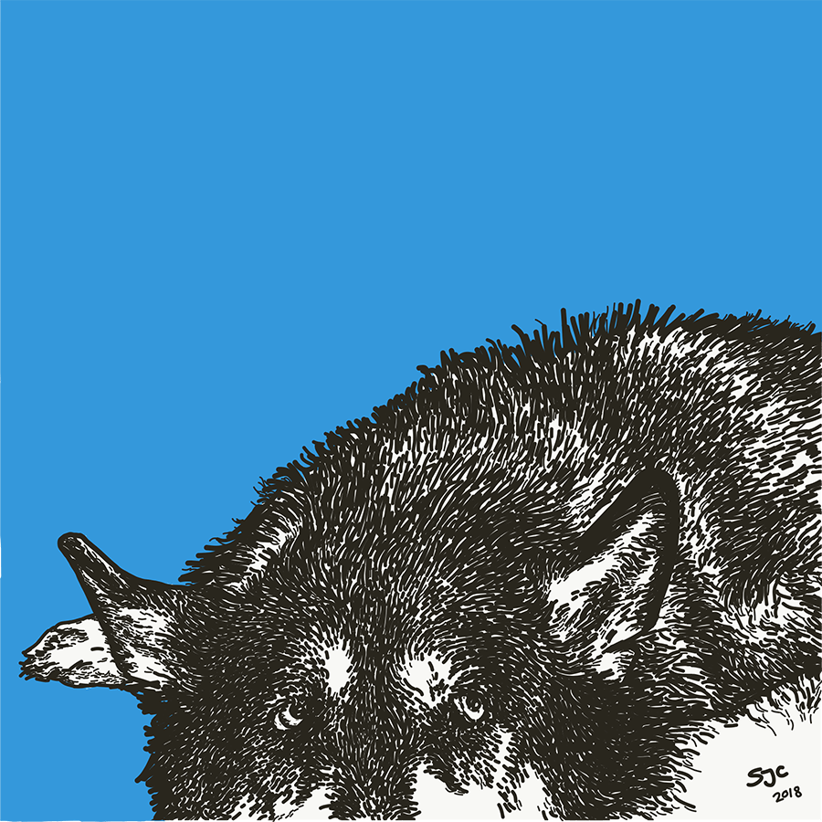 Skookum, Yamnuska Canine Illustrations - Vector illustration