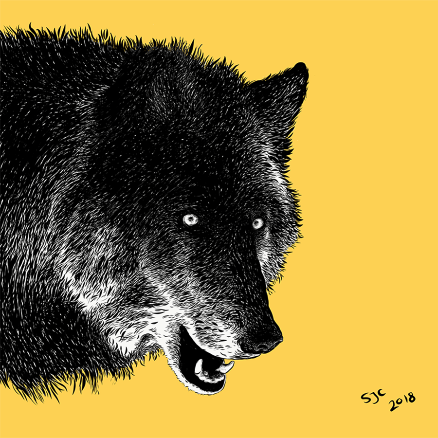 Zeus, Yamnuska Canine Illustrations - Vector illustration