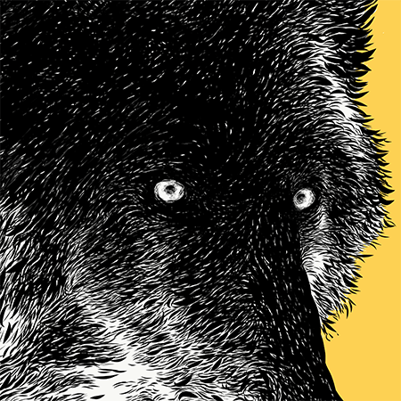 Close up image of Zeus
