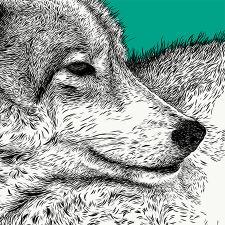Close up image of Kasha