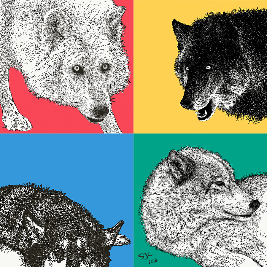 Yamnuska Canine Illustrations - Vector illustration